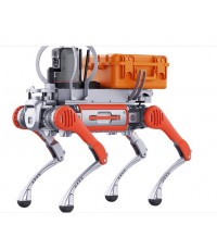 2 İlk Yardım köpeği